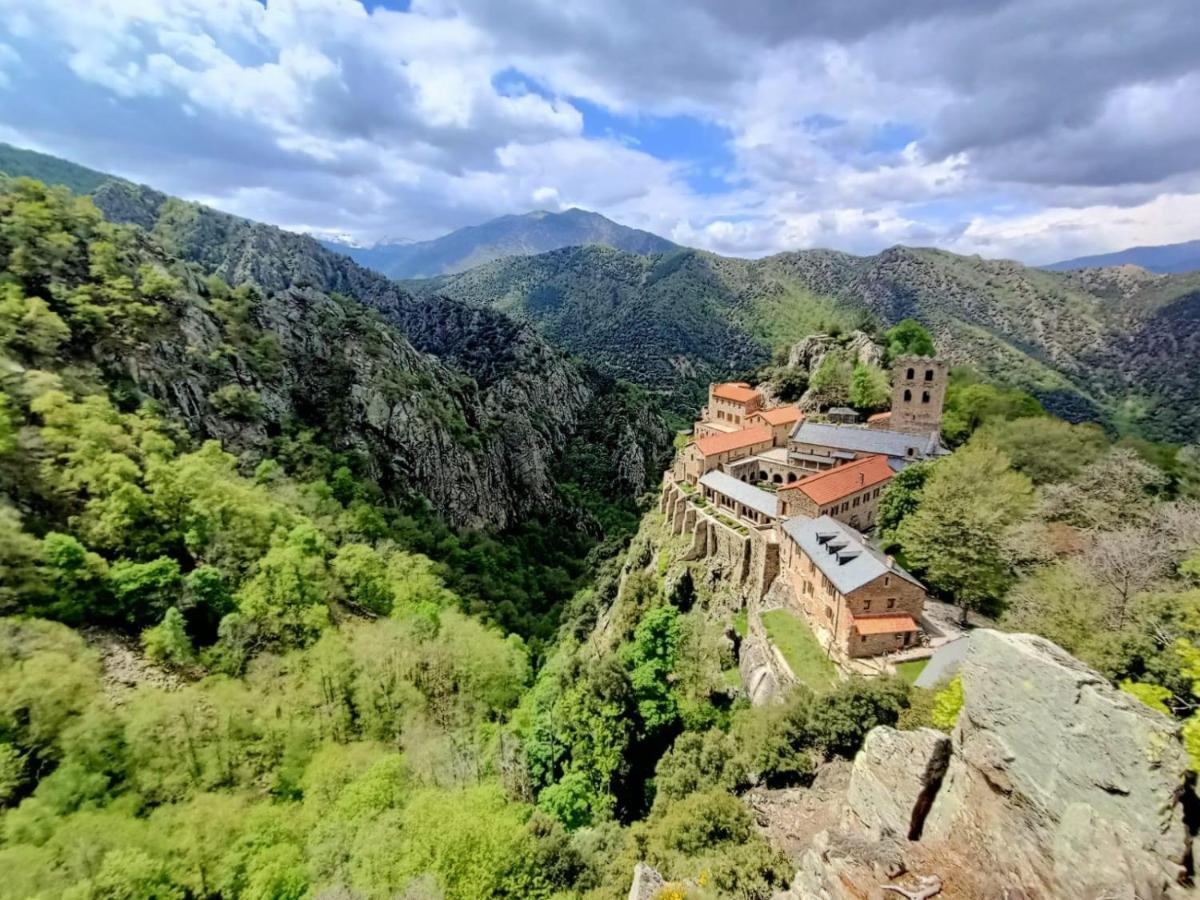 Le Mas Palegry Chambres D'Hotes Perpignan Eksteriør billede